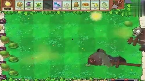 僵尸吃瓜视频大全,带你领略另类恐怖盛宴