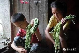 跟云南小姐姐吃瓜视频,一场别开生面的美食与欢乐之旅