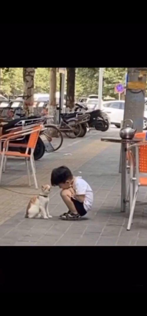 马哥吃瓜现场图片大全视频,趣味瞬间大盘点