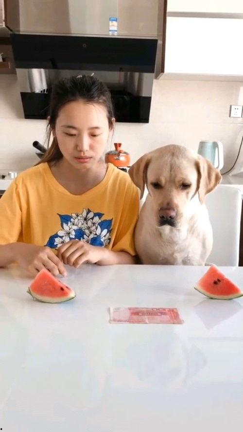 拉力赛吃瓜的视频,吃瓜群众围观精彩瞬间