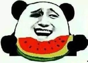 最刺激吃瓜群众是谁啊视频,谁是“最刺激吃瓜群众”视频背后的焦点人物？