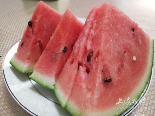 牛吃瓜的视频大全,趣味横生的动物食趣集锦