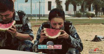 原神男总吃瓜视频大全集,趣味视频全集回顾